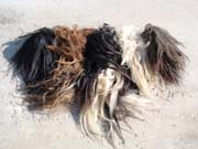 Picture of Yak tails